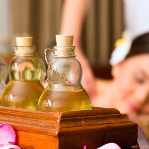 Программа Body Purification (Shodhana Chikilsa)