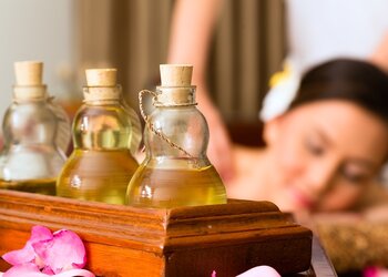 Программа Body Purification (Shodhana Chikilsa)