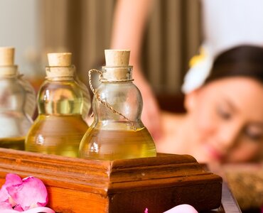 Программа Body Purification (Shodhana Chikilsa)