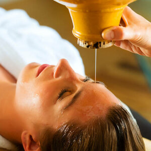 Программа Расаяна Чикилса (Rasayana Chikilsa)