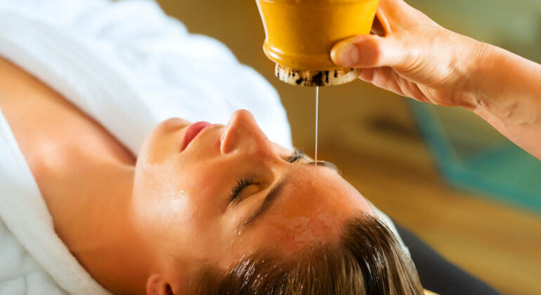 Программа Расаяна Чикилса (Rasayana Chikilsa)